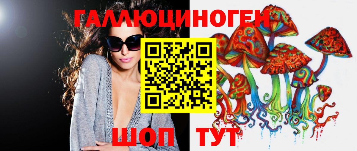 Владимир  Псилоцибиновые грибы мухоморы  Вход с VPN 
