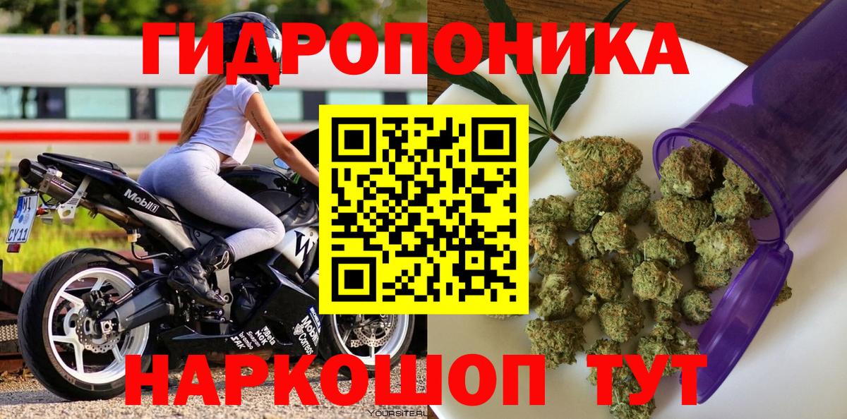 Бошки Шишки планчик  Вход с VPN  Канабис сатива  Владимир  Бошки марихуана тримм 
